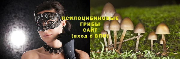 МДПВ Каменск-Шахтинский
