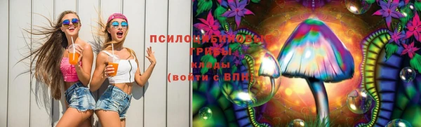 спиды Каменка