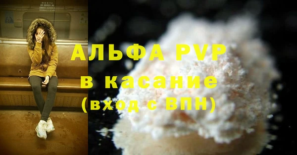 спиды Каменка