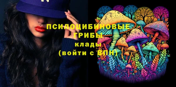 спиды Каменка
