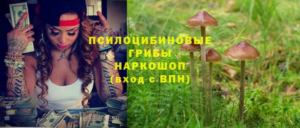 ешки Карпинск
