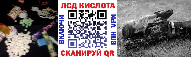 Купить закладки  Отрадное  LSD-25 экстази кислота 
